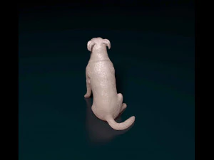 Huntaway 3D Print Model