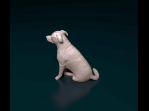Huntaway 3D Print Model