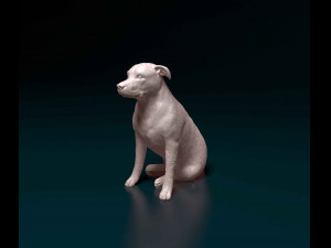 Huntaway 3D Print Model
