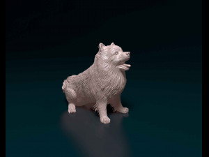 Pomeranian Modelo de impresión 3D