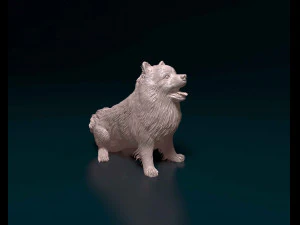 Pomerania Modello di stampa 3D