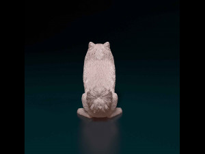 Pomeranian Modello di stampa 3D
