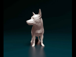 Jack Russell cross 3D Print Model