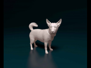 Jack Russell cross 3D Print Model