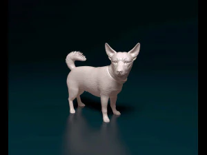 Jack Russell cross 3D Print Model