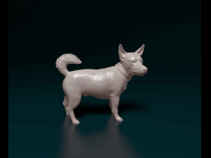 Jack Russell cross 3D Print Model