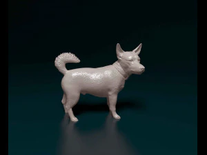 Jack Russell cross 3D Print Model