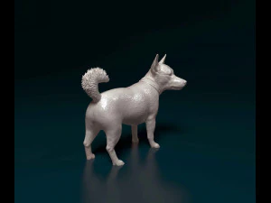 Jack Russell cross 3D Print Model