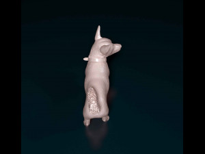 Jack Russell cross 3D Print Model