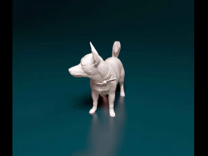 Jack Russell cross 3D Print Model