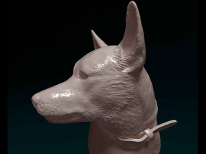 Jack Russell cross 3D Print Model