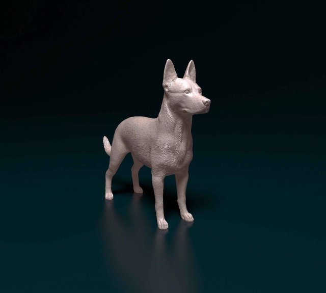 Cross breed dog Modelo de Impressão 3D .c4d .max .obj .3ds .fbx .stl .blend 