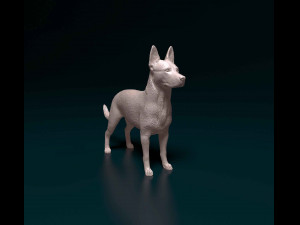 Cross breed dog 3D प्रिंट मॉडल