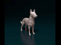 Cross breed dog 3D प्रिंट मॉडल