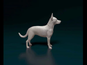 Cross breed dog 3D Print Model