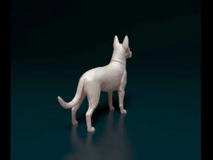 Cross breed dog 3D Print Model