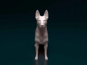 Cross breed dog 3D Print Model