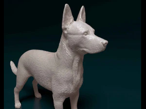 Cross breed dog 3D Print Model