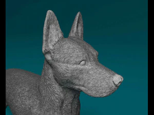 Cross breed dog 3D Print Model