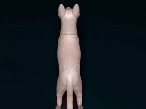 Cross breed dog 3D Print Model