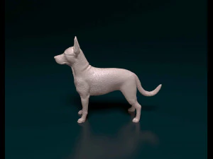 Cross breed dog 3D Print Model