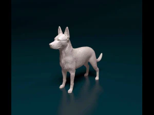 Cross breed dog 3D Print Model