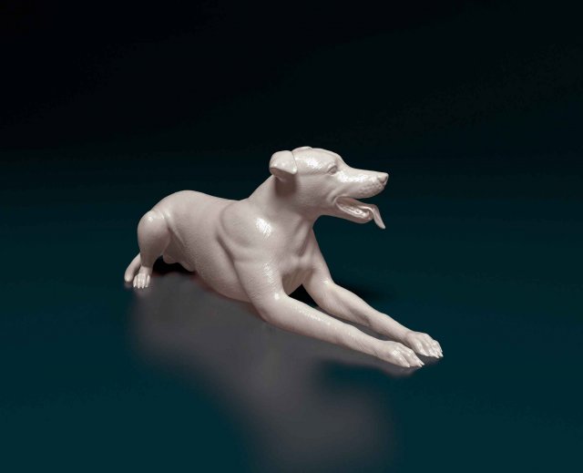 Greyhound 3 Modelo de impresión 3D .c4d .max .obj .3ds .fbx .stl .blend 