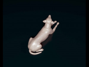 Greyhound 3 Modelo de impresión 3D