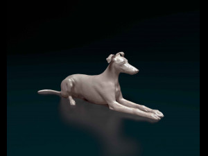 Saluki x Greyhound Modelo de impresión 3D