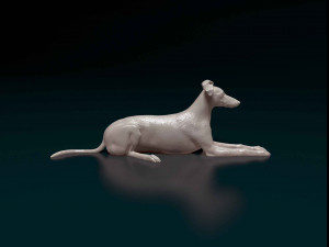 Saluki x Greyhound Model Cetak 3D