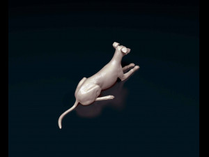 Saluki x Greyhound Model Cetak 3D