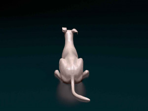 Saluki x Greyhound Model Cetak 3D