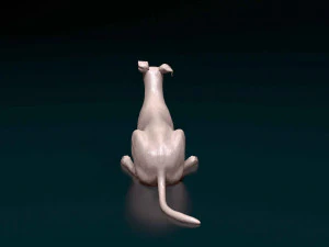 Saluki x Greyhound 3D Print Model