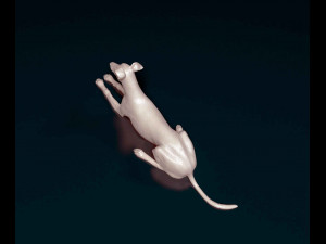 Saluki x Greyhound Model Cetak 3D