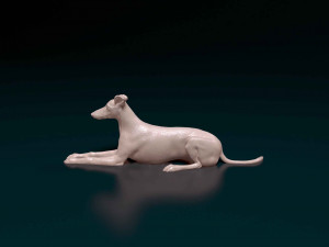 Saluki x Greyhound Model Cetak 3D