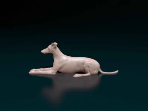 Saluki x Greyhound 3D Print Model