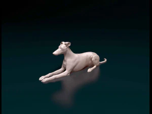 Saluki x Greyhound 3D Print Model