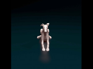 Saluki x Greyhound Model Cetak 3D
