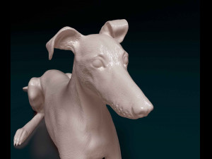 Saluki x Greyhound Model Cetak 3D