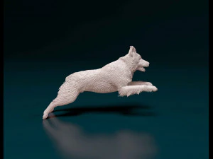 Aussie running 3D Print Model