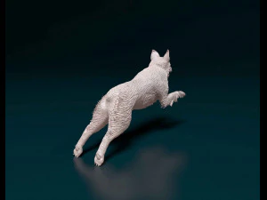 Aussie running 3D Print Model