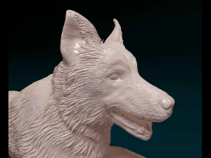 Aussie running 3D Print Model