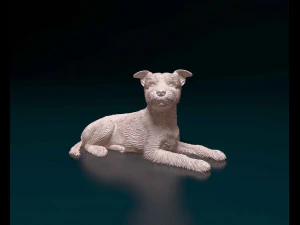 Yorkshire terrier 3D Baskı Modeli