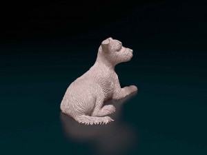 Yorkshire terrier Model do druku 3D