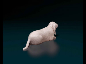 Basset Hound dog Modelo de impresión 3D