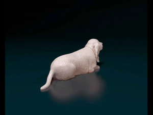Basset Hound dog 3D Print Model