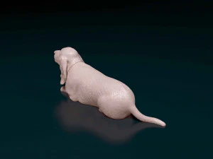 Basset Hound dog 3D Print Model