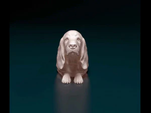 Basset Hound dog 3D Print Model