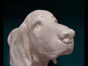 Basset Hound dog 3D Print Model