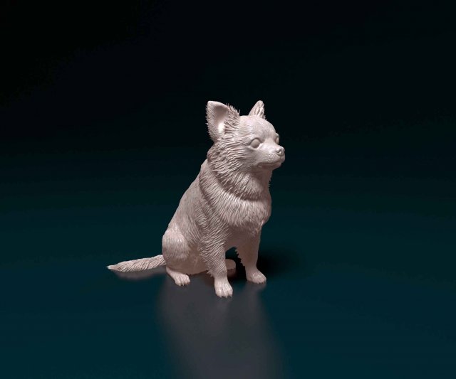 Chihuahua Long haired Modelo de impresión 3D .c4d .max .obj .3ds .fbx .stl .blend 